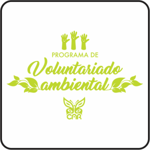 voluntariado